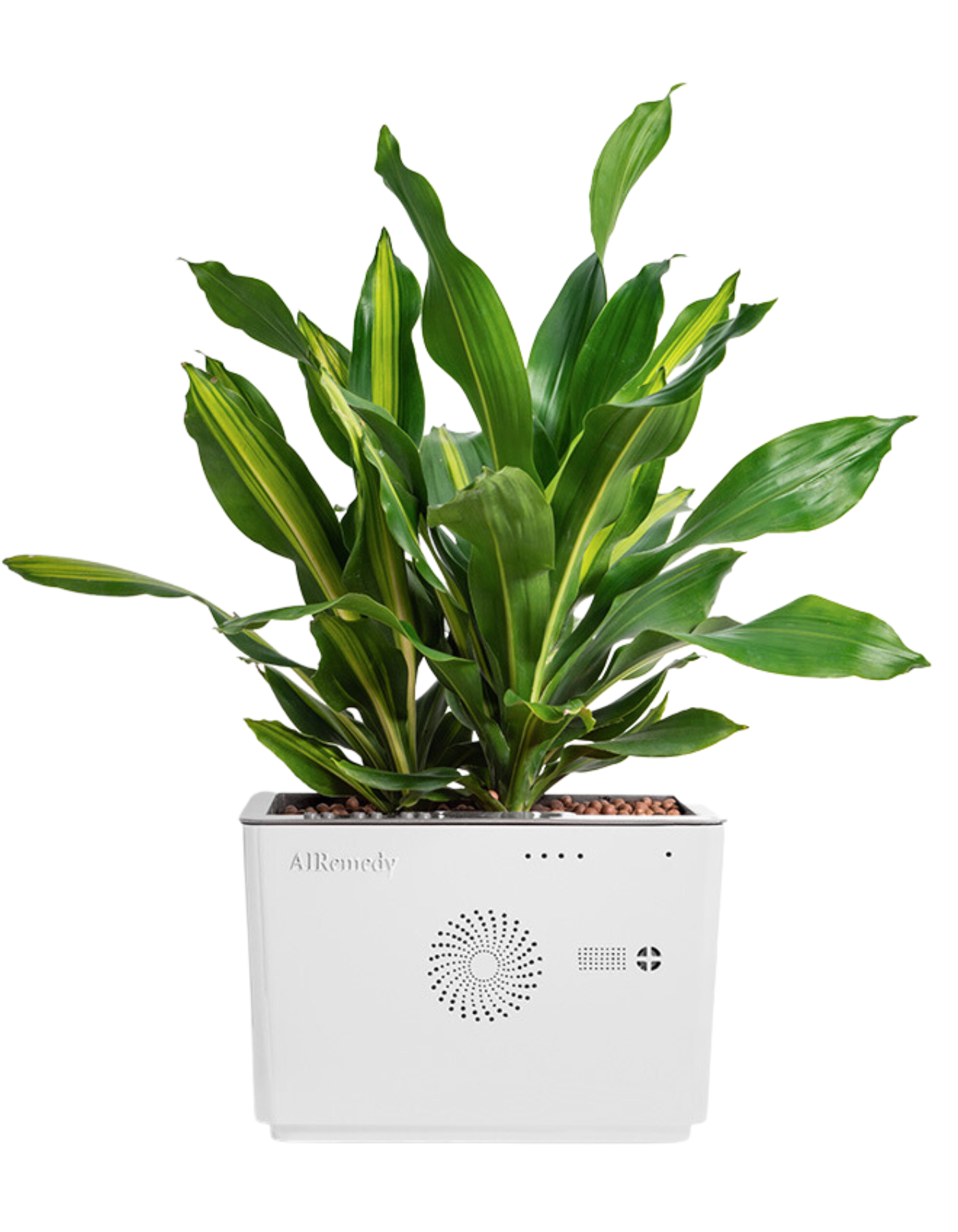 AIRemedy GaiA