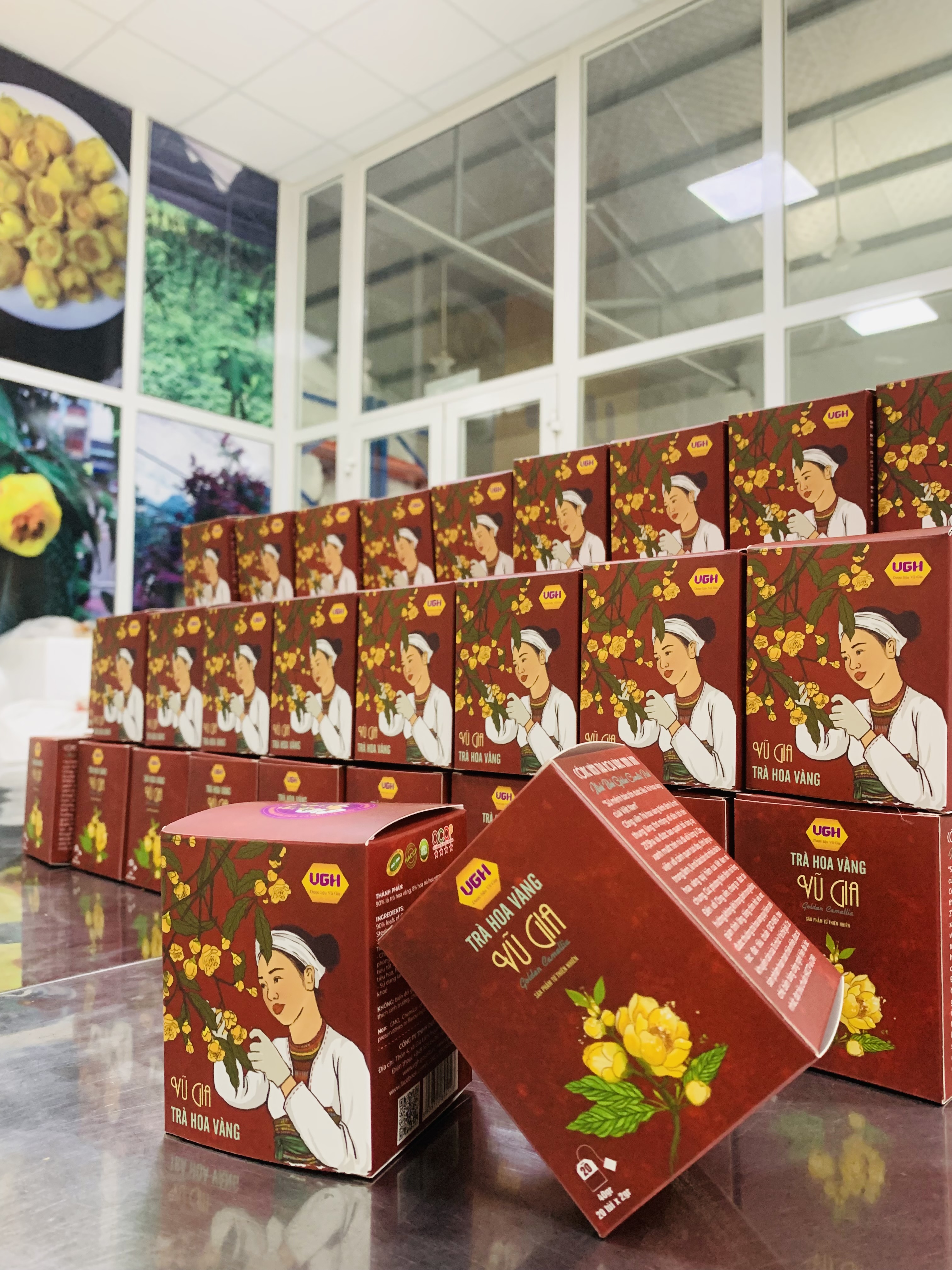 Trà hoa vàng Vũ Gia hộp túi lọc