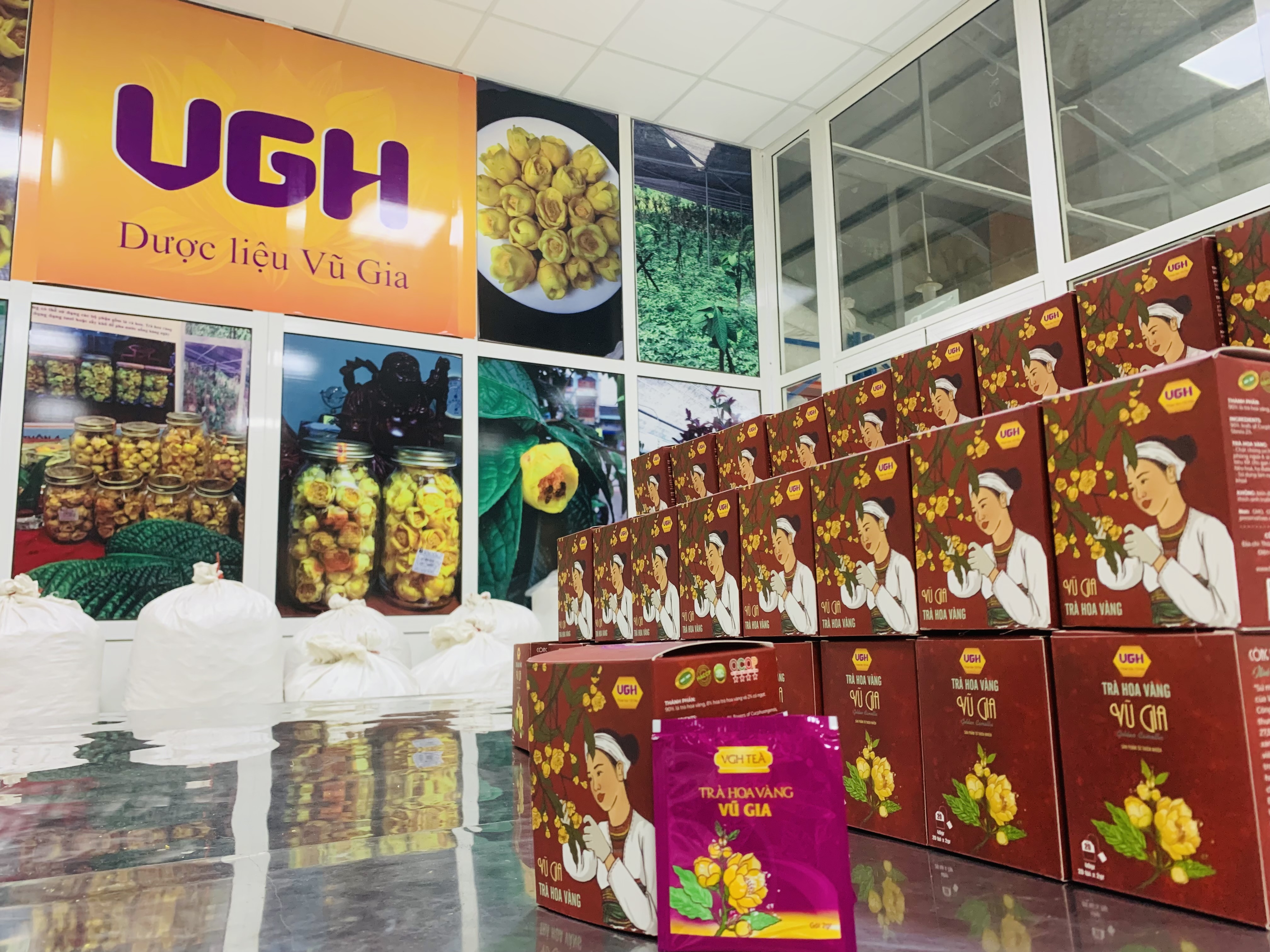 Trà hoa vàng Vũ Gia hộp túi lọc