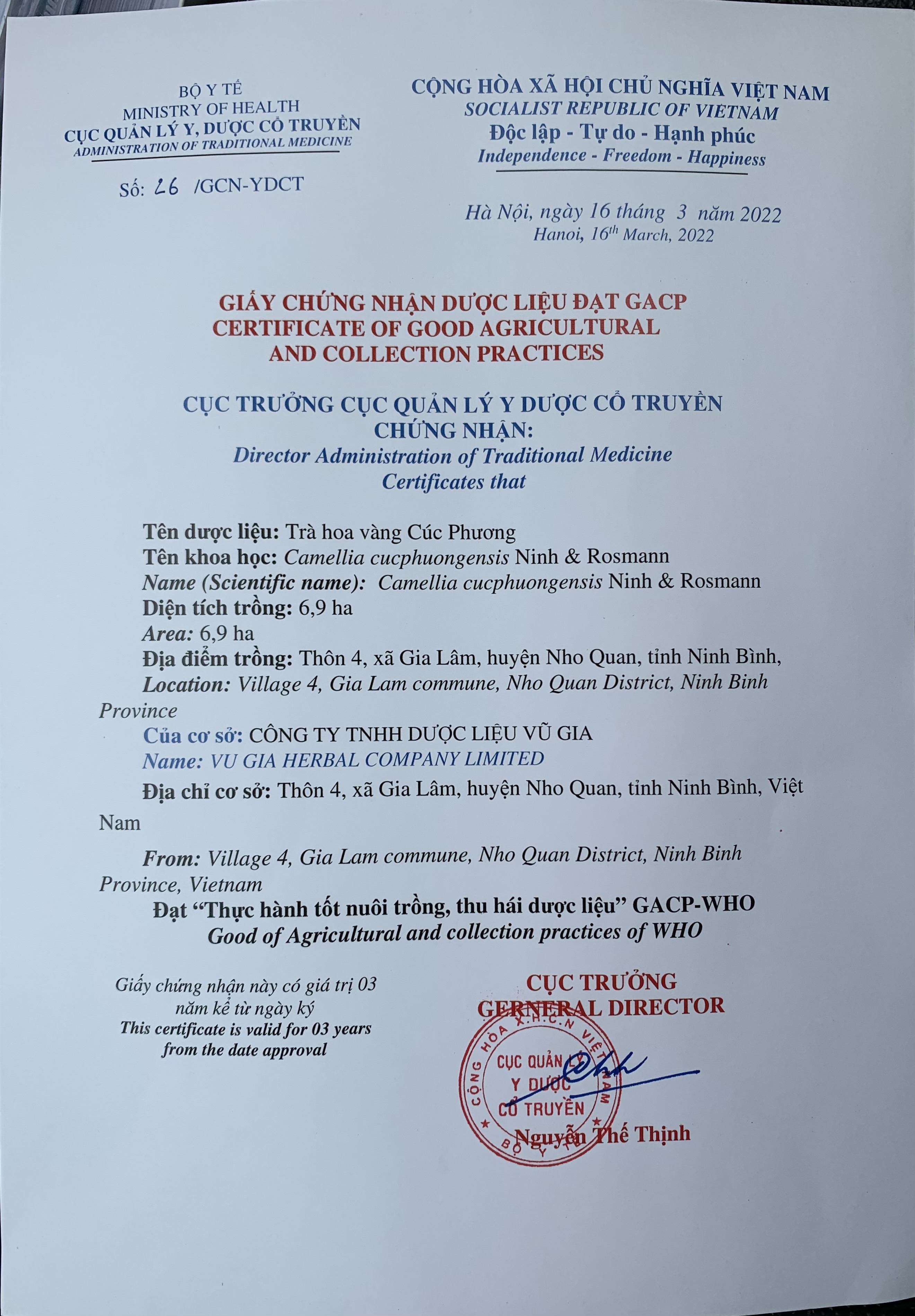 Trà hoa vàng hộp 45gr