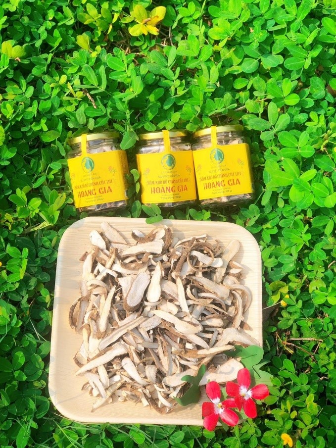 SÂM BỐ CHÍNH KHÔ CẮT LÁT LỌ 50GR