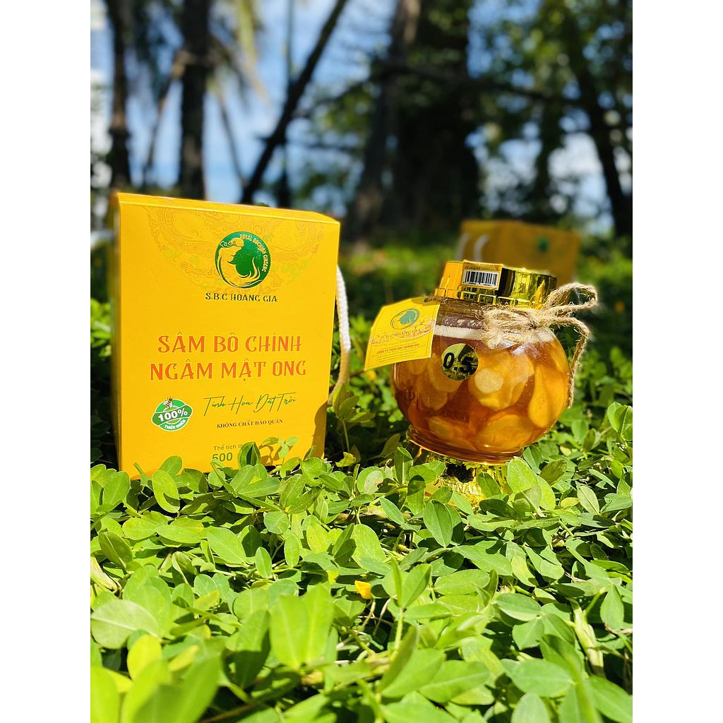SÂM BỐ CHÍNH NGÂM MẬT ONG LỌ 500ML