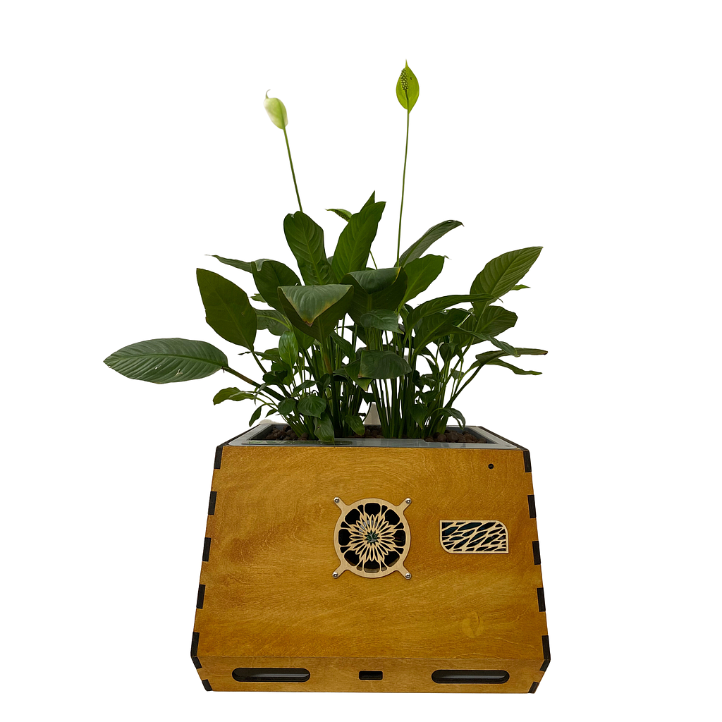 AIRemedy GaiA PLW