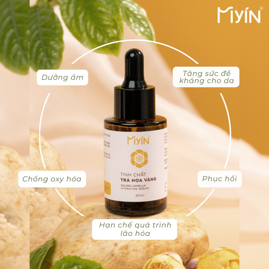 Serum tinh chất trà hoa vàng