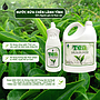 Nước rửa chén lành tính TEA. Chai 0,8KG