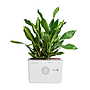 AIRemedy GaiA