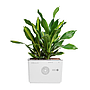 AIRemedy GaiA
